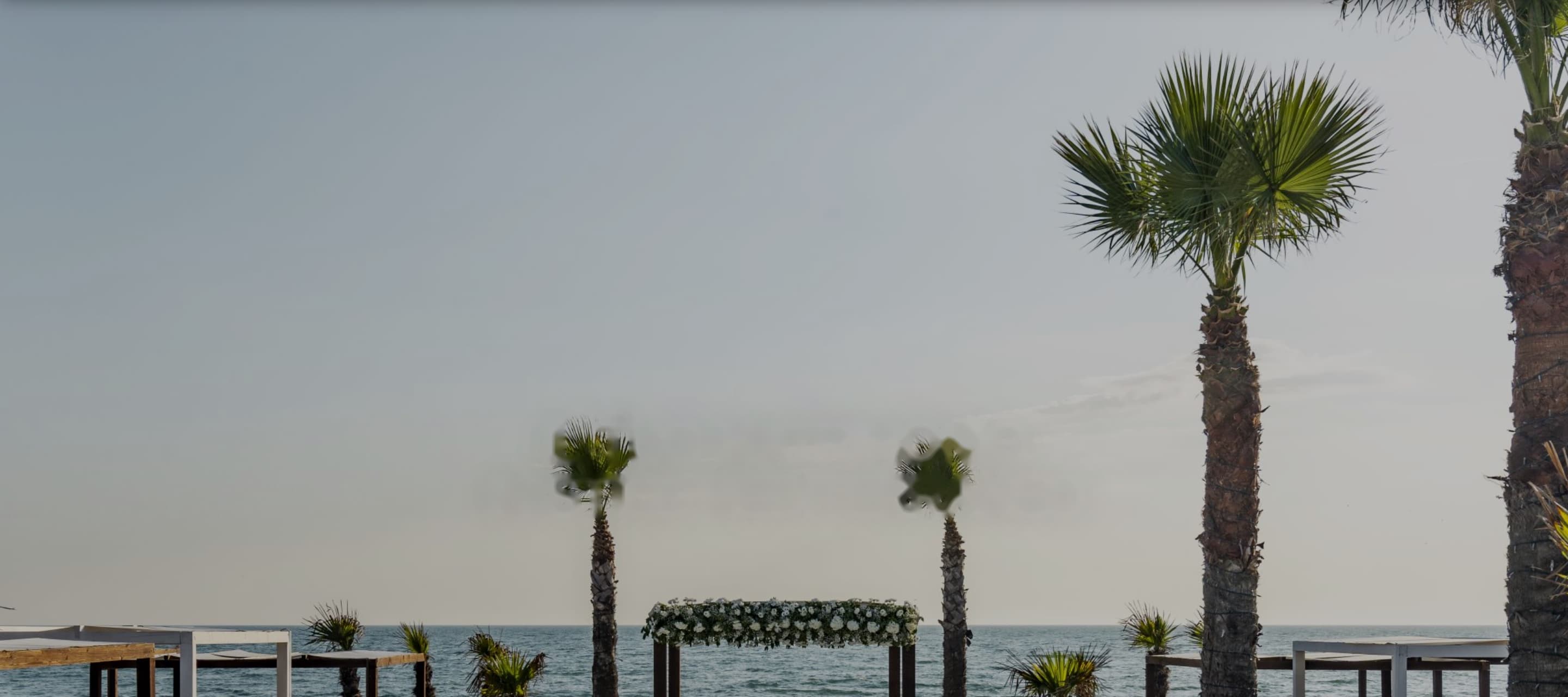 Location per matrimoni sul mare con palme e allestimento cerimonia